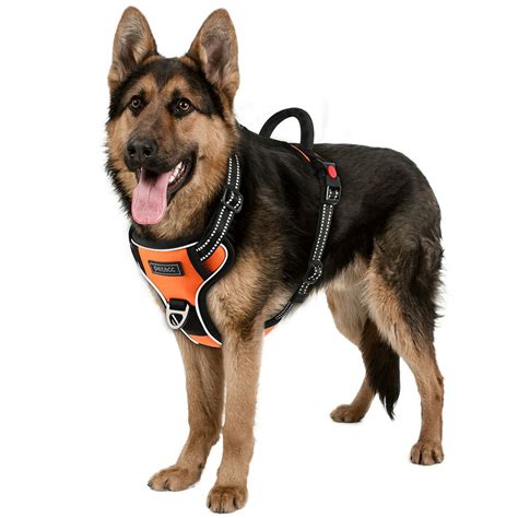Petacc Dog Harness No Pull Pet Harness With 2 Leash Clips Adjustable