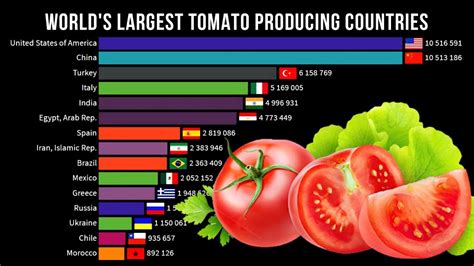 Tomato Production By Country 1961 2018 Top Tomato Producing Countries