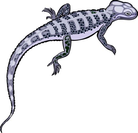 Download High Quality Lizard Clipart Blue Transparent Png Images Art
