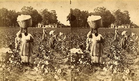 Plantation Slavery Women The American Story