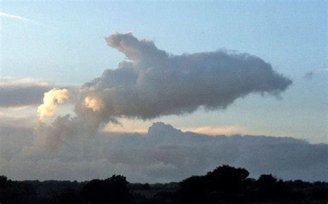 Cloud In The Shape Of A Dolphin Essex Britain 08 Jan 2013 Two White