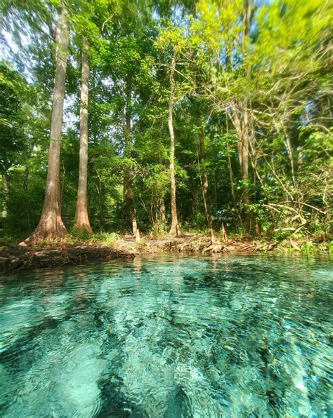 11 Best Swimming Lakes In Florida 2024 Exploring The Gulf