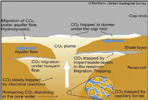 Various Mechanisms Of Co 2 Trapping In The Reservoir Bentham 2006