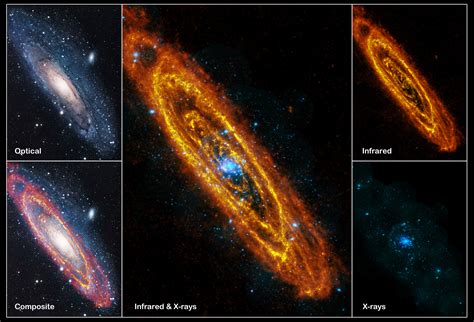 Star Birth And Death In The Andromeda Galaxy