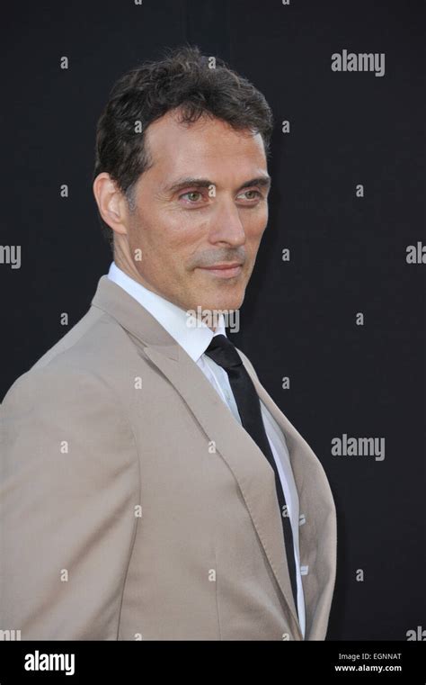 Los Angeles Ca July 23 2014 Rufus Sewell At The Premiere Of His