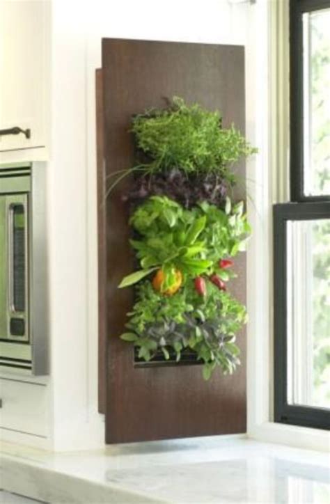 20 Amazing Indoor Wall Herb Garden Ideas 20