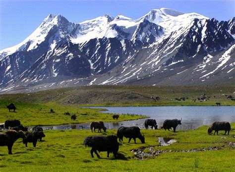 All Pakistan Sites: Most Beautiful Places of Pakistan