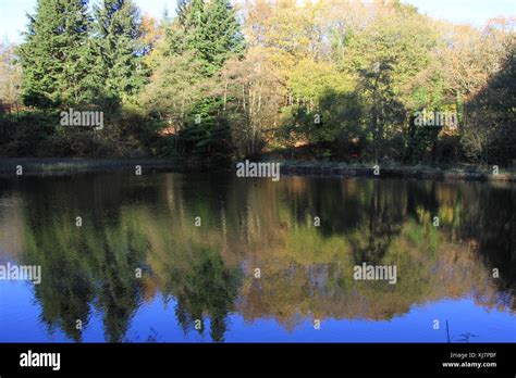 Rivelin Valley Sheffield Stock Photo Alamy