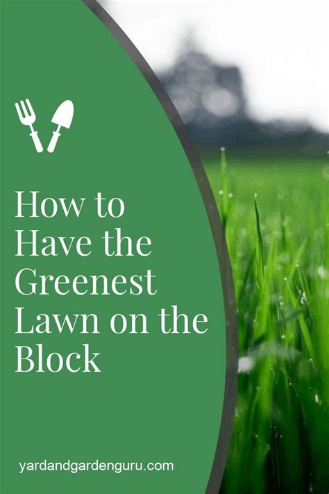How To Make Your Lawn Green And Healthy Green Lawn Lush Lawn Lawn