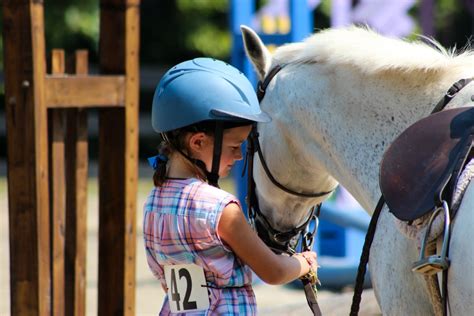 Equestrian Camp — Camp Friendship