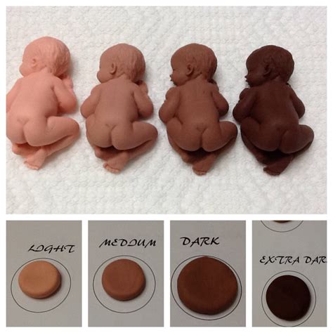 Not For Sale Reference Only Skin Color Chart And Baby Size