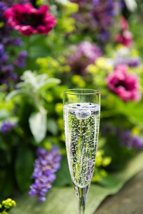 We did not find results for: June Wedding Flowers at Swanton Morley House & Gardens ...