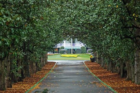 I Would Be So Grateful To Drive Up Magnolia Lane During Themasters