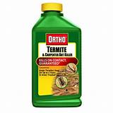 Homemade Termite Killer Spray Pictures