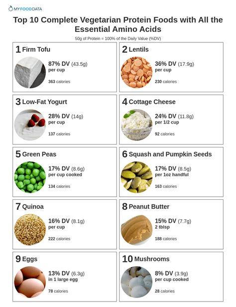 Top 10 Complete Vegetarian Protein Foods With All The Essential Amino Acids