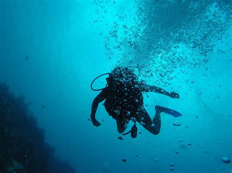 Person Sport Black Exploration Wetsuit Underwater Diving Sea