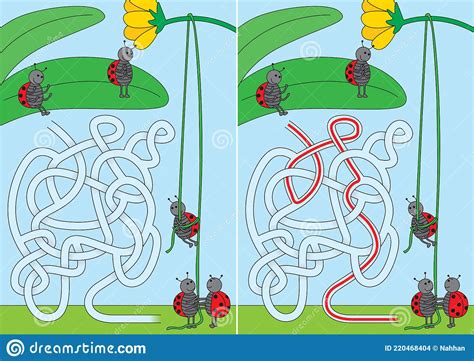 Ladybug Maze Stock Vector Illustration Of Ladybird 220468404