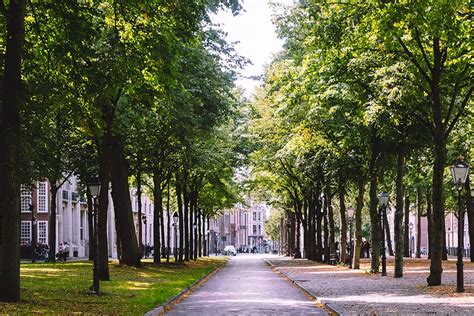 17 top things you must do in the hague the ultimate den hague itinerary