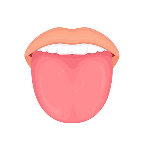 Premium Vector Healthy Human Tongue Vector Illustration