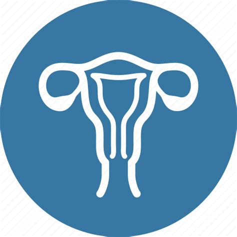 Gynecology Reproductive Uterus Icon Download On Iconfinder