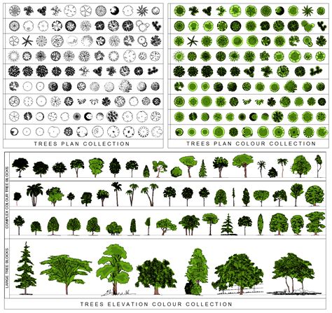 Landscape Architecture Plant List Landscape Architecture Modern Park