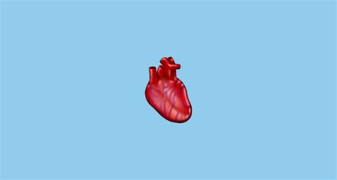 🫀 Corazón Humano Emoji On Imágenes De Muestra Emojipedia 130