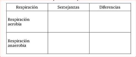 Tabla De Semejanzas Y Diferencias Imagui