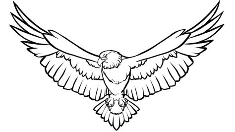 Eagle Wings Drawing Free Download On Clipartmag