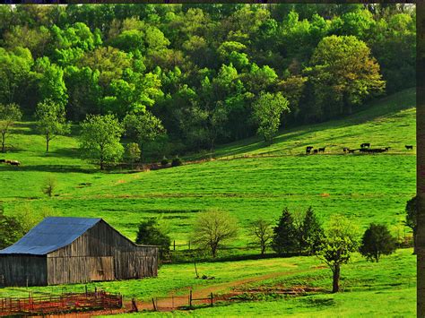 The Valley Pasture Photograph By Thomas Acey Fine Art America