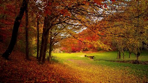 50 Best Ideas For Coloring Autumn Season Description
