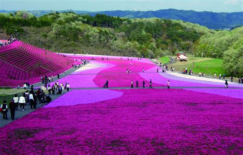 9 Things To Do In Tochigi In Spring All About Japan