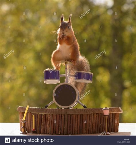 Drum Kit Stock Photos And Drum Kit Stock Images Alamy