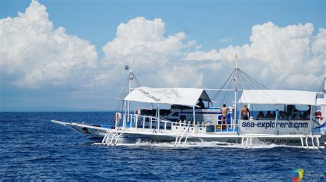 Kalanggaman Leytes Island Paradise A Day Trip From