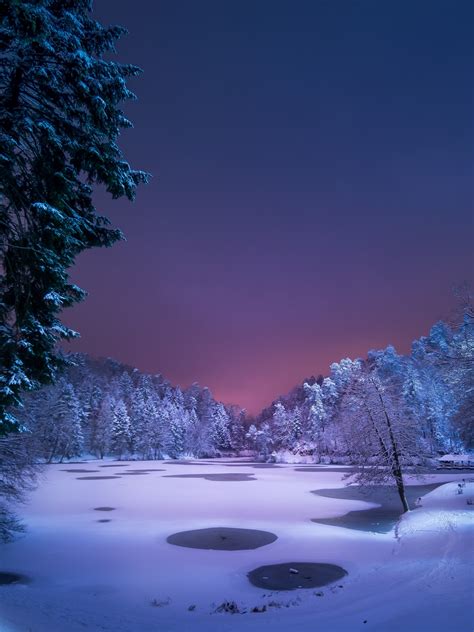 Free Download Lake Landscape Night Winter Forest Path Snow Wallpaper