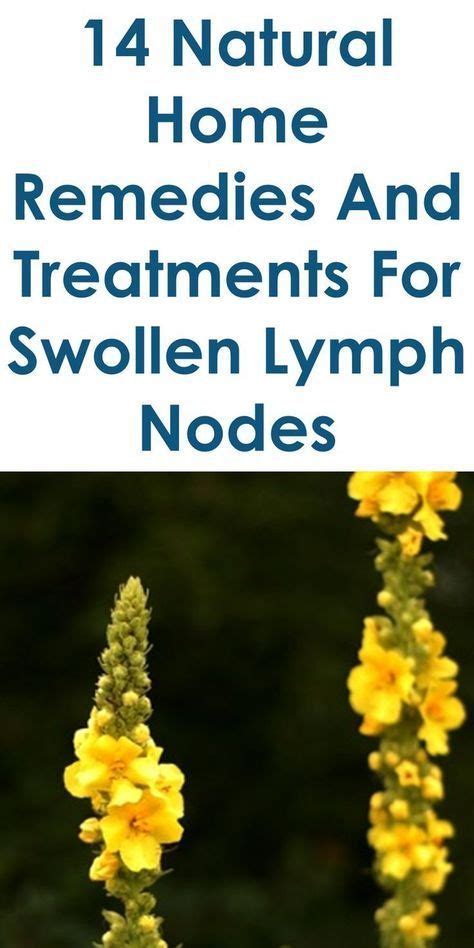 This Guide Shares Ideas On The Following Inflamed Lymph Node Lymph