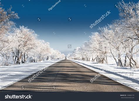 Beautiful Winter Landscape With Road And Snow Covered