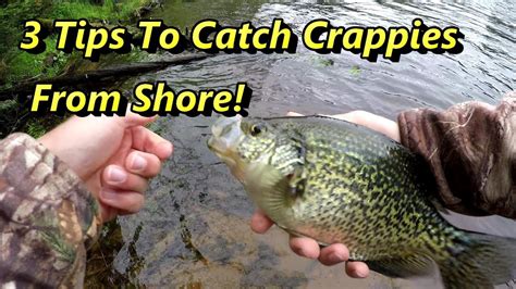 How To Catch Crappie Tips For Fishing For Crappie Images And Photos