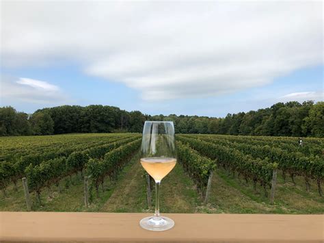 Guide to northern california wine country with information on hotels, dining and wine tasting in sonoma county, napa valley and mendocino — sfgate.com. Exploring Ohio Wine Country in Ashtabula County | Ohio ...
