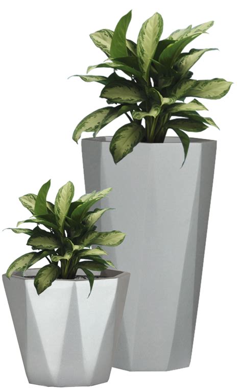 Potted plant png pictures download number: #44927 - Daily updated free gambar png