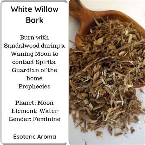 White Willow Bark 🌳 Properties Include Is A Sacred Wood To The Druids