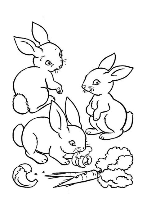 Coloring Page Bunny Rabbits Printable Coloring Page Coloring Home