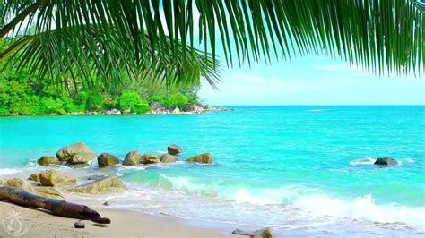 Tropical Island Escape Relaxing Music In 2020 Tropical Island Beach Ocean Sounds Tropical