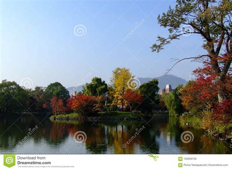 Colorful Forest At The Lakeside In Autumn Stock Photo Image Of