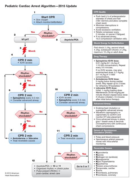 Pin en Pals and Acls review
