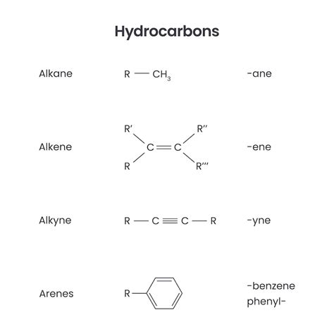 Premium Vector Hydrocarbon Functional Groups Biochemistry Science