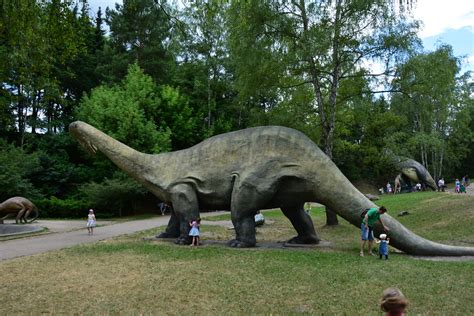 Kierownikiem hodowlanym bytomskiego ogrodu był dr w roku 1975 na terenie zoo powstała skalna kotlina dinozaurów. Dolina Dinozaurów - Śląski Ogród Zoologiczny - ZachowajTo