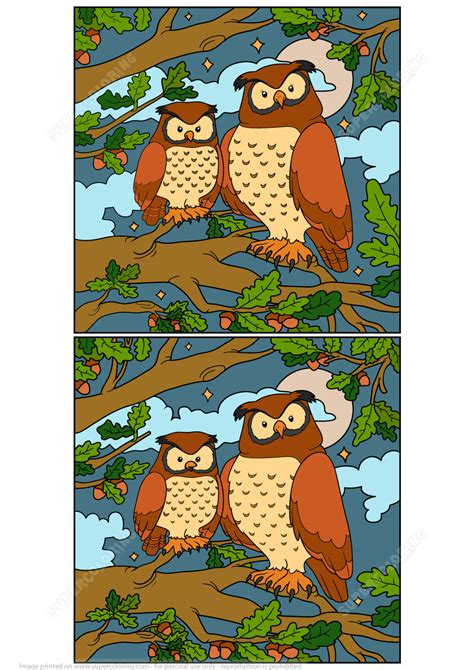 Find 10 Differences Between Pictures Of Owl Puzzle Free
