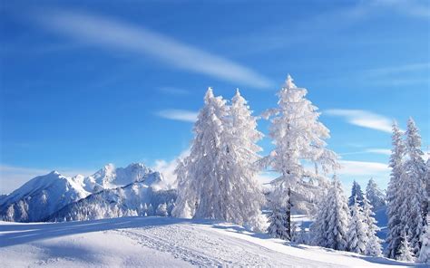 Free Download Winter Scenery Powerpoint Backgrounds