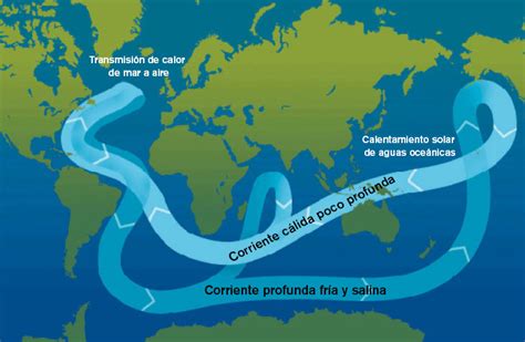 Alternativas Para Cuidar El Medio Ambiente Corrientes OceÁnicas