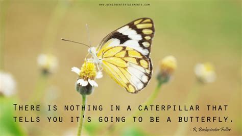 Butterfly Quotes New Gen Entertainments